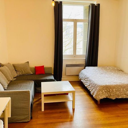Ferienwohnung Studio Cosy De 28M2 Au Centre De Straßburg Exterior foto